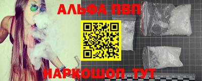 apvp Пугачёв