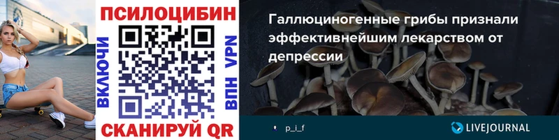 Галлюциногенные грибы Psilocybine cubensis  как найти закладки  Ревда 