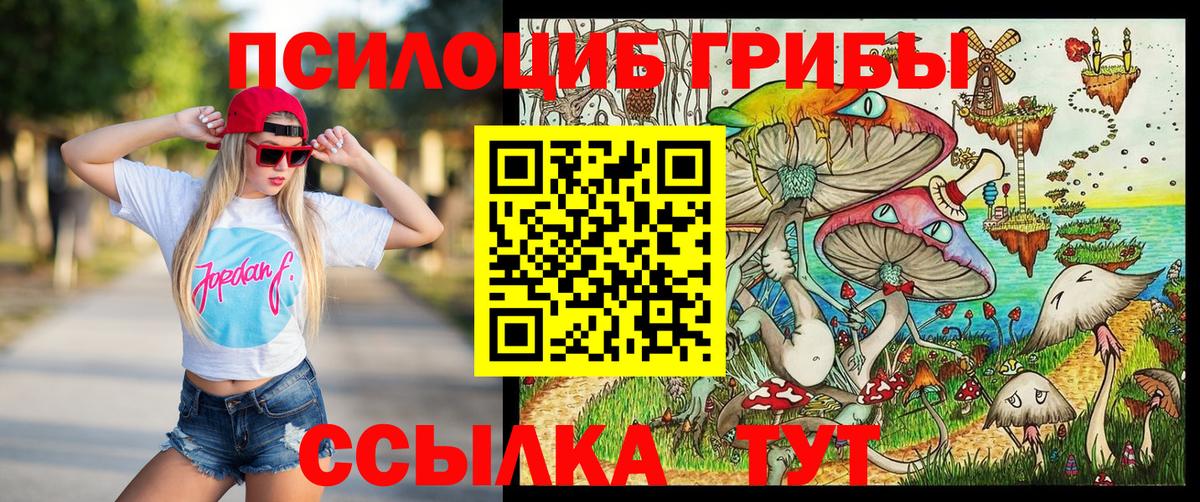 Псилоцибиновые грибы ЛСД Ревда