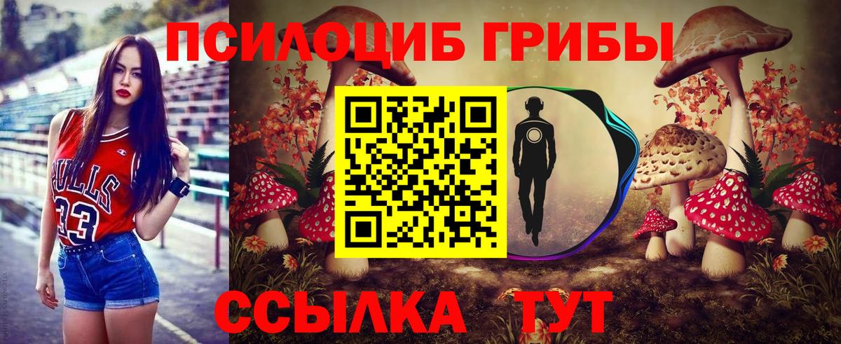 Ревда  Псилоцибиновые грибы GOLDEN TEACHER  Вход с VPN 